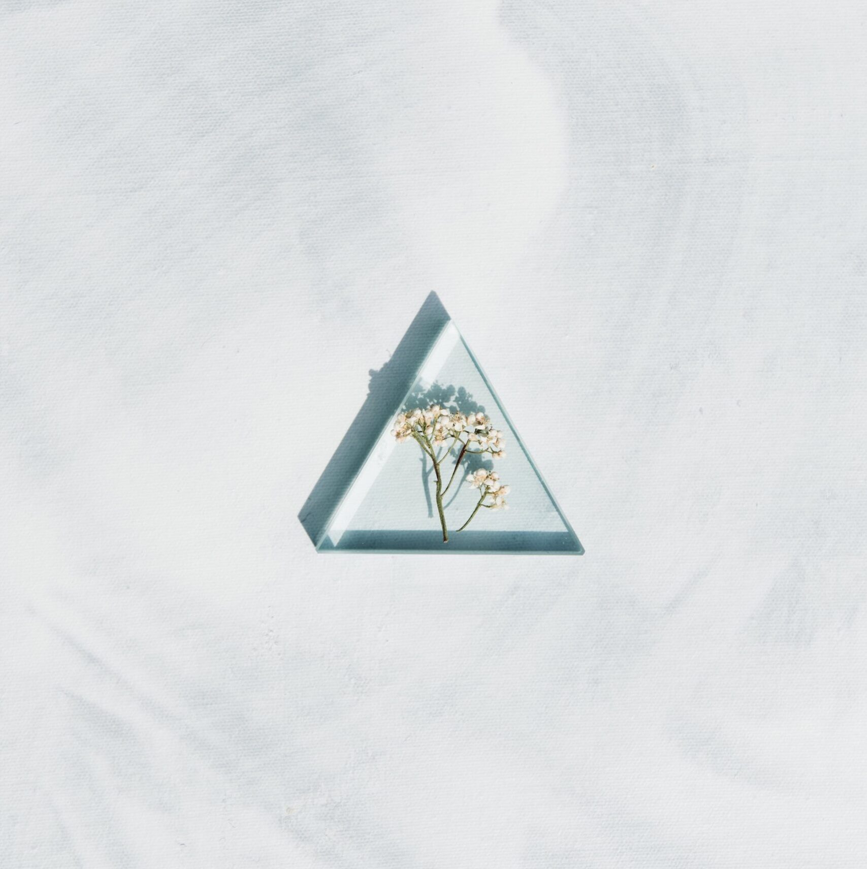 Glass triangle containing a little blossom against an off-white background